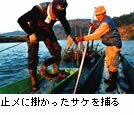 �H�̎ʐ^3